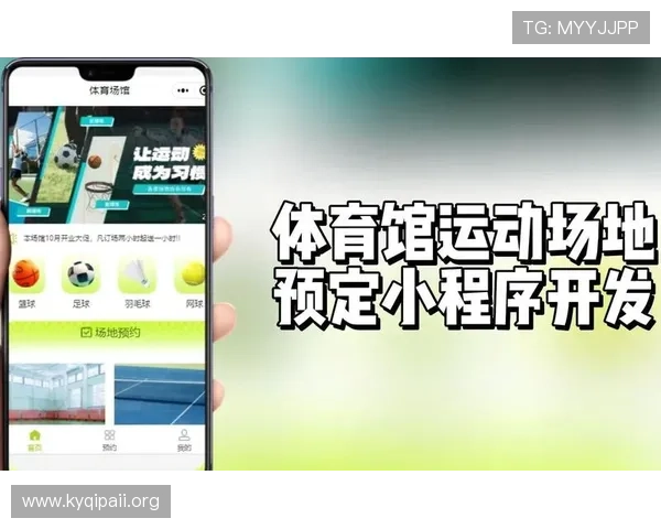 333体育：全面解析其发展历程、创新与未来趋势